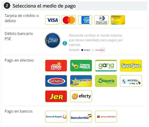 Medios de pago - Curso de desarrollo ING en Perú